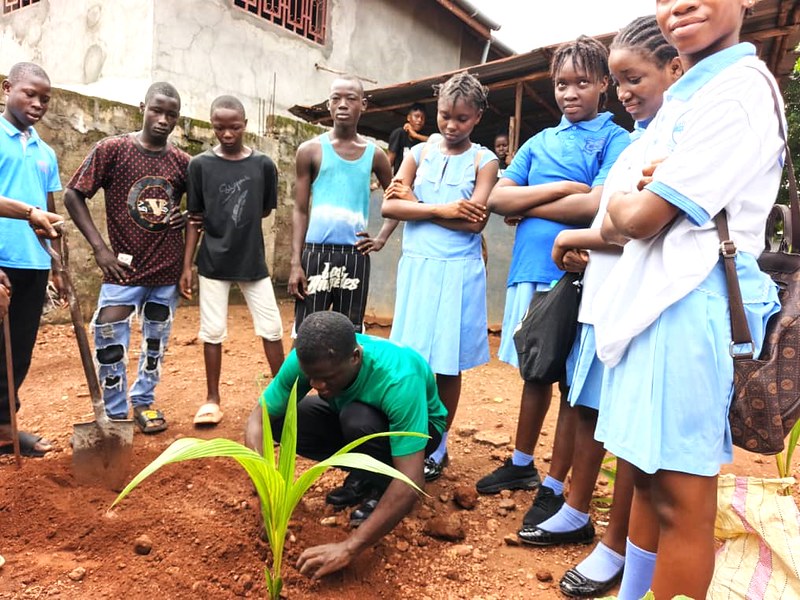 Tree planting